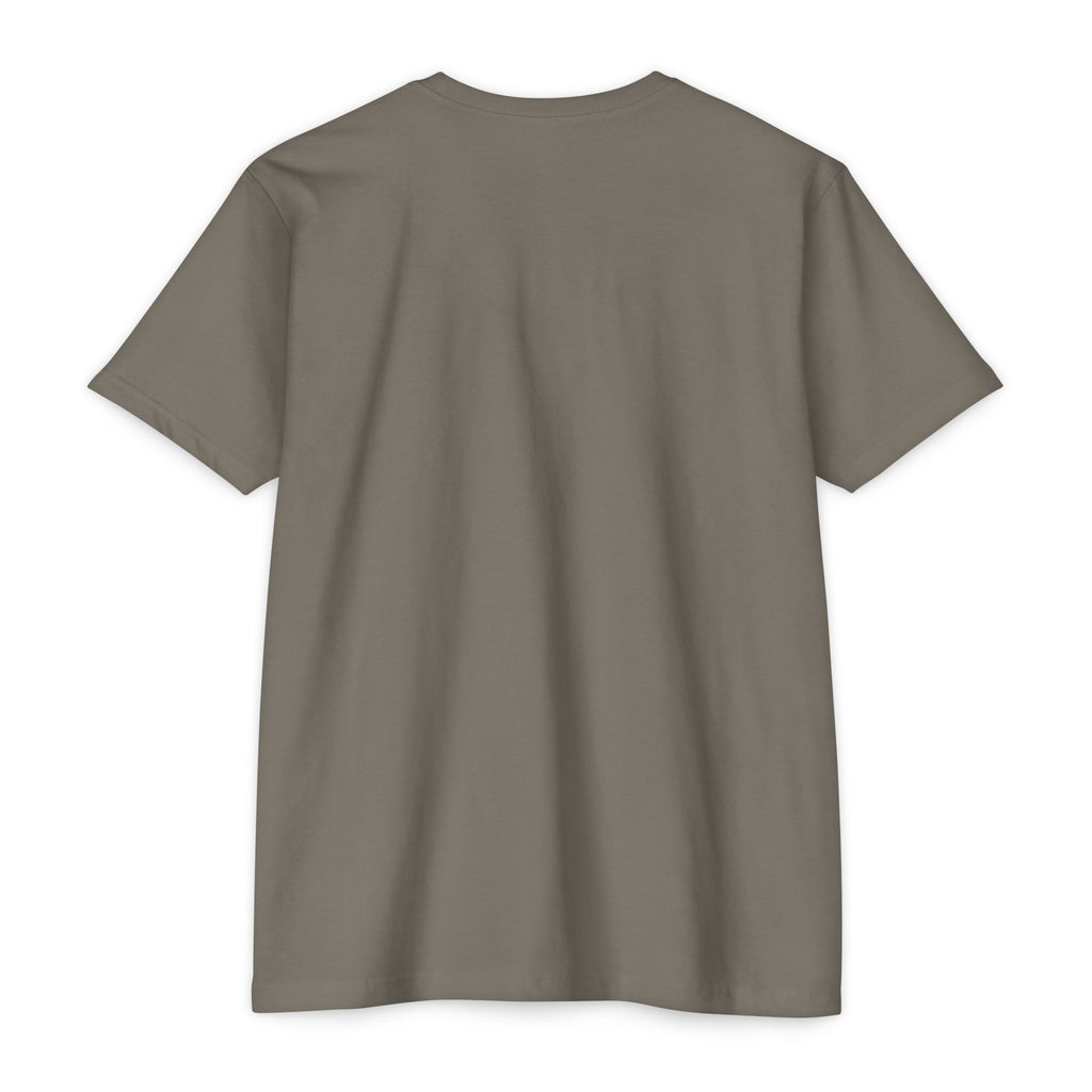 Mexico Flag Stripe T‑Shirt — Minimal Mexican Pride Tee