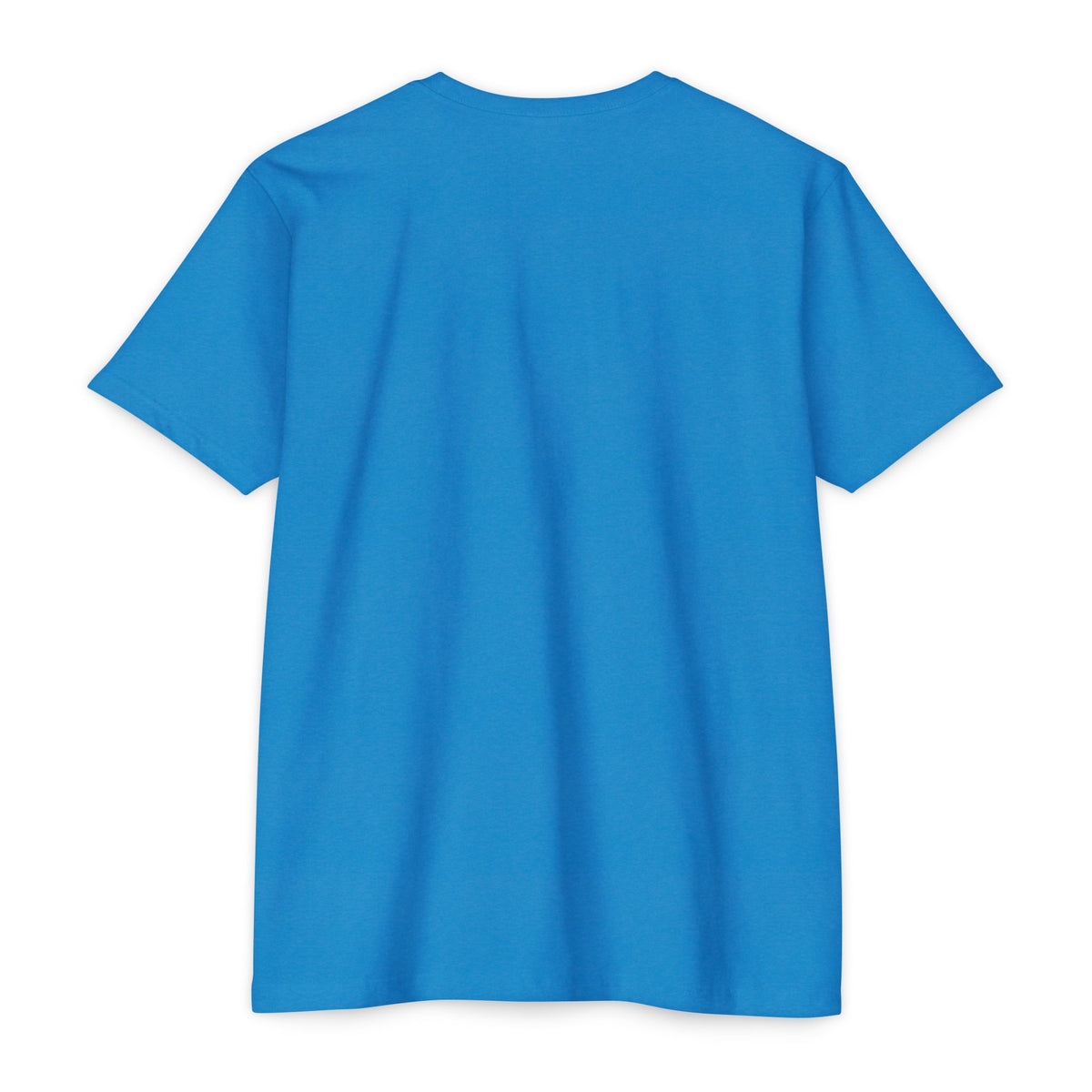 Mexico Flag Stripe T‑Shirt — Minimal Mexican Pride Tee