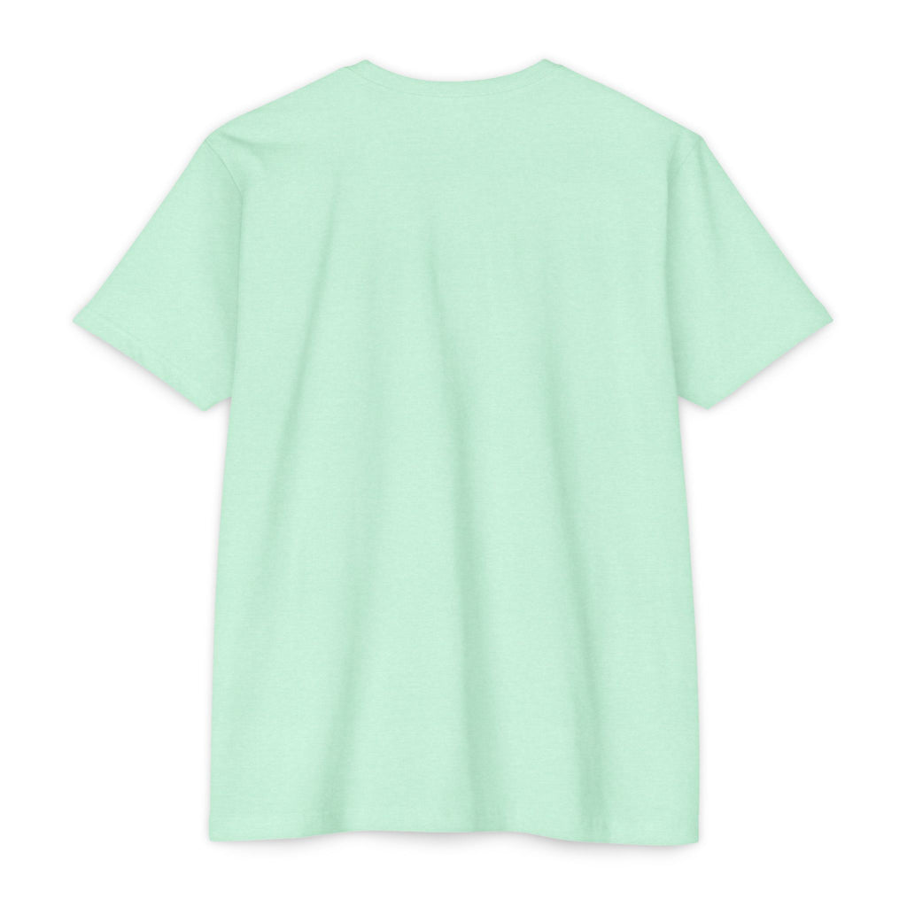 Mexico Flag Stripe T‑Shirt — Minimal Mexican Pride Tee