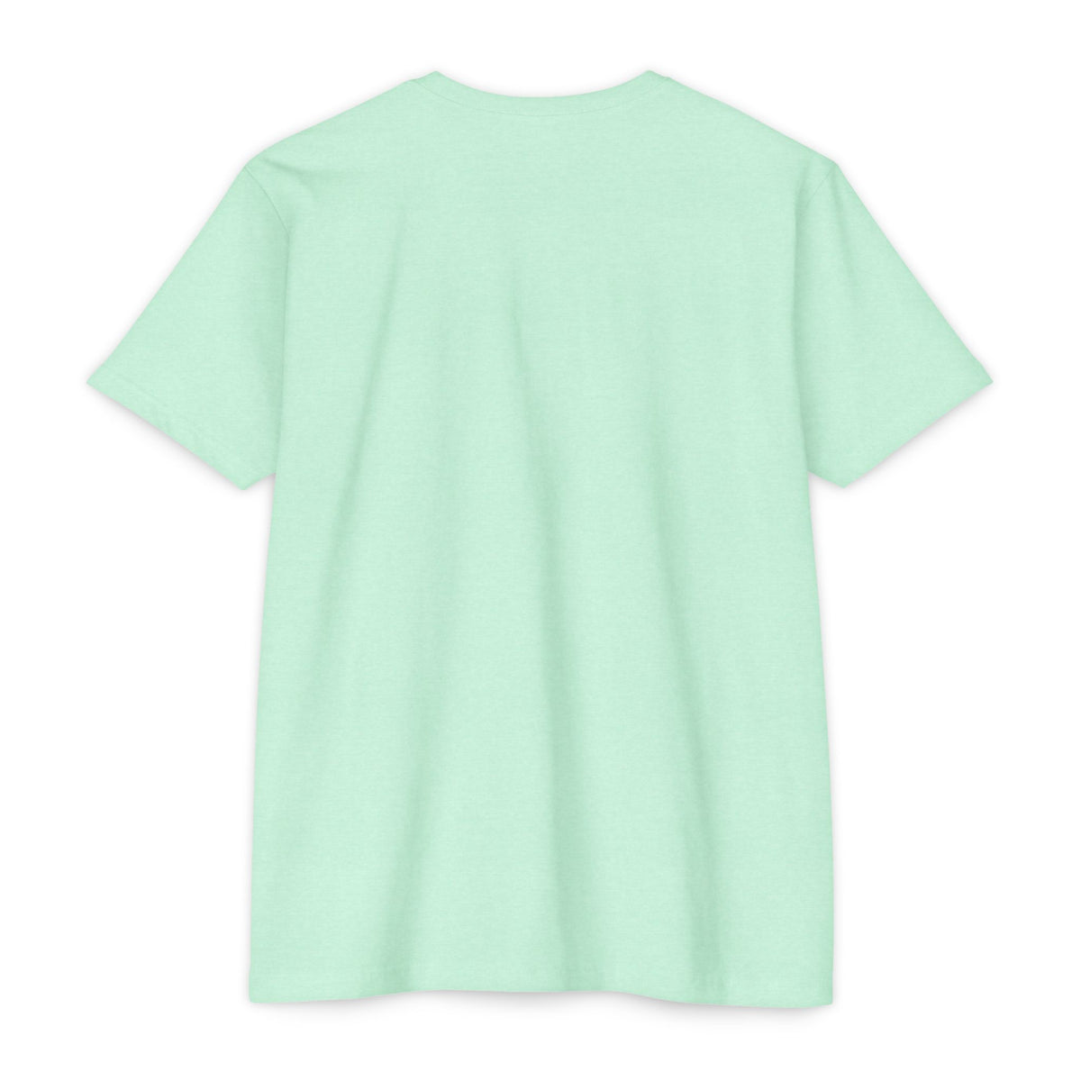 Mexico Flag Stripe T‑Shirt — Minimal Mexican Pride Tee