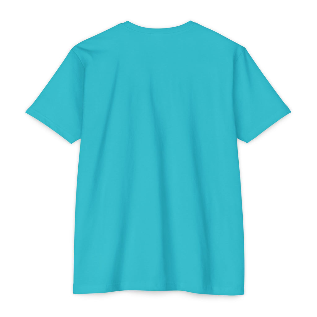 Mexico Flag Stripe T‑Shirt — Minimal Mexican Pride Tee