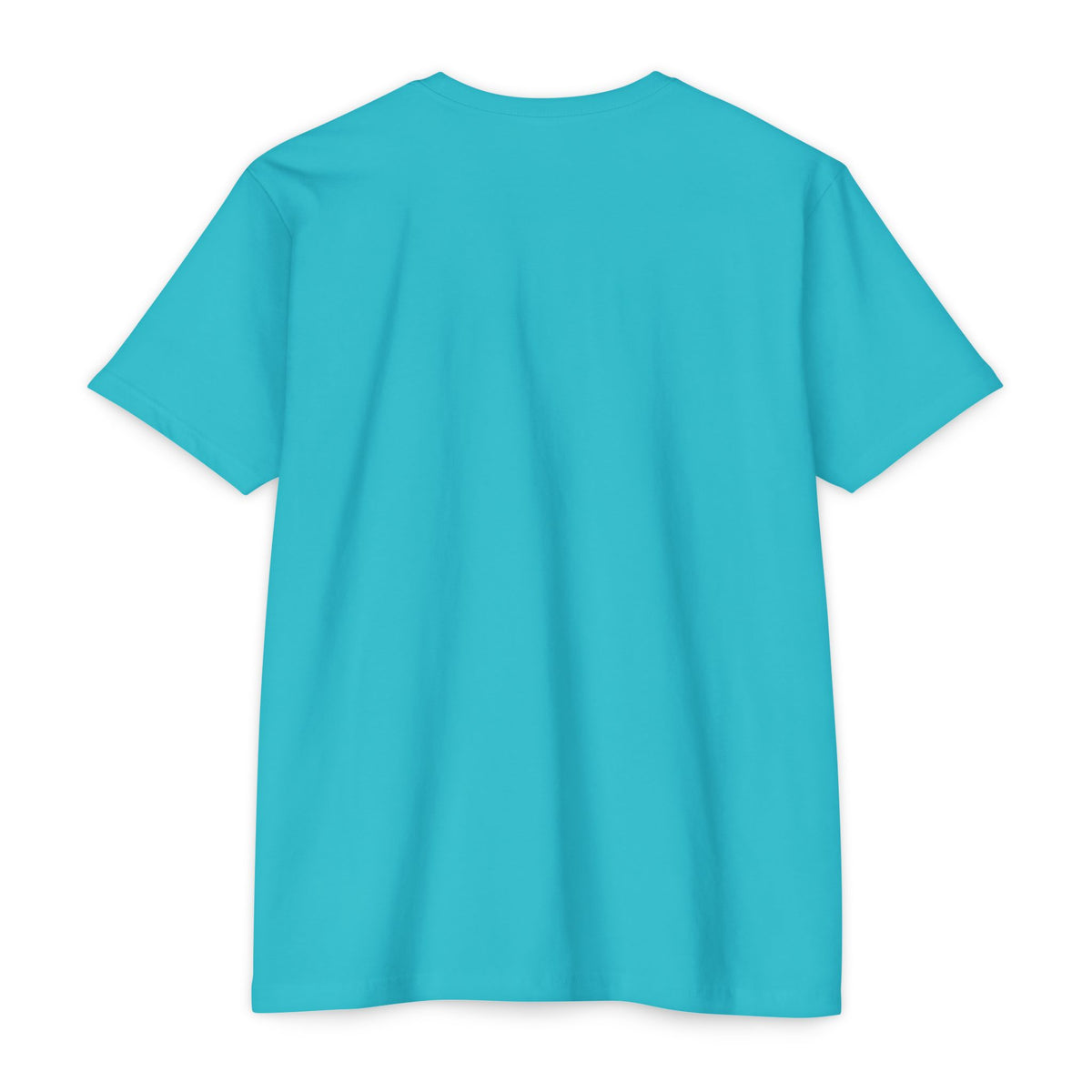 Mexico Flag Stripe T‑Shirt — Minimal Mexican Pride Tee