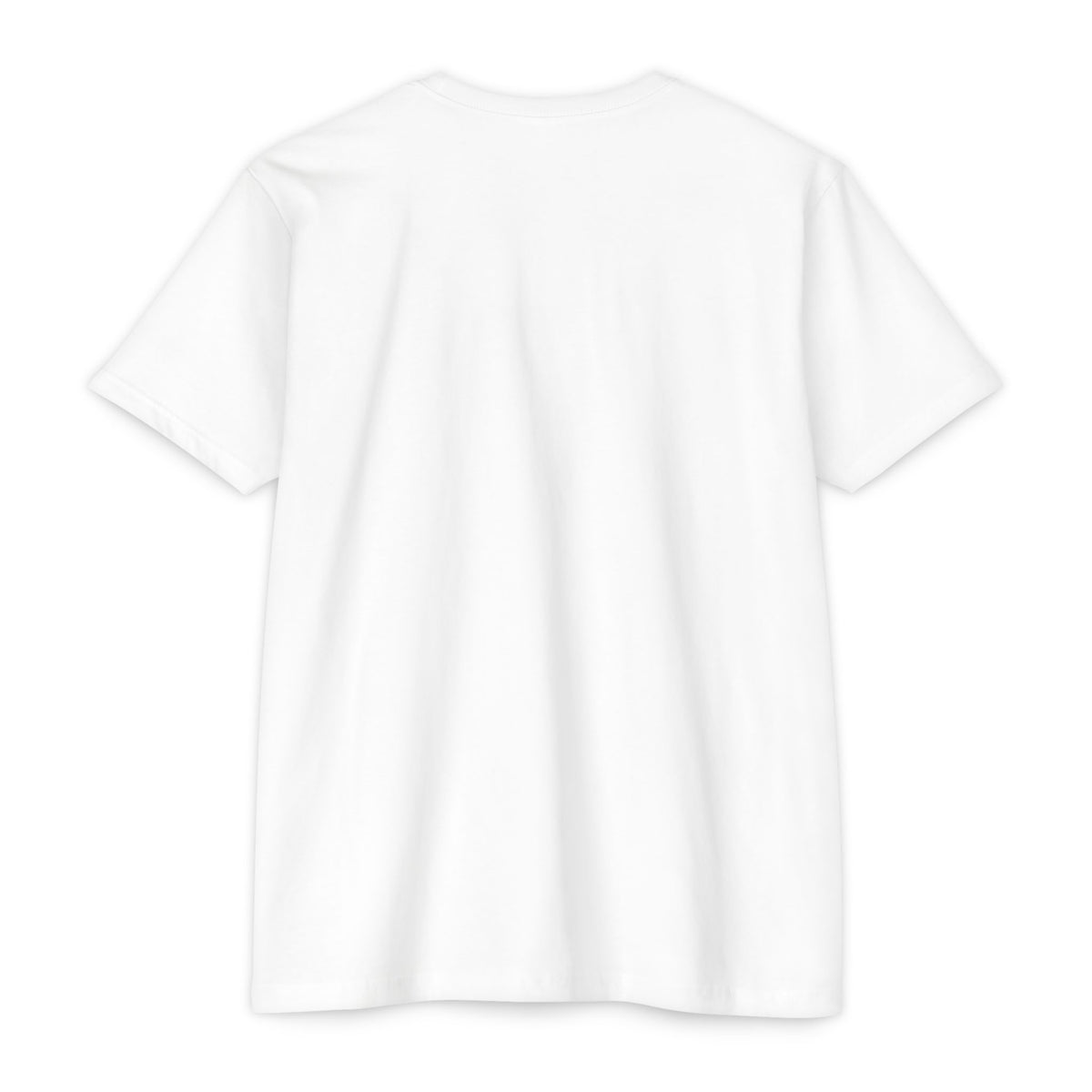 Mexico Flag Stripe T‑Shirt — Minimal Mexican Pride Tee